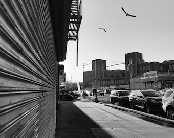 The Bronx, New York, Mott Haven, South Bronx, Melrose, Black And White, Cityscape, Bronx Cityscape, Bird, Minimalist Cityscape, Fine Art