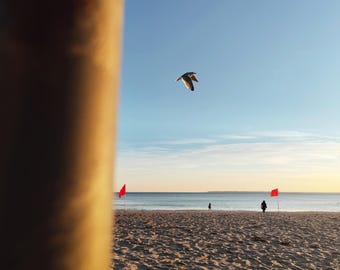 Impression de Coney Island, photographie de Coney Island, impression de Brooklyn, coucher de soleil de Coney Island, impression d'oiseau, coucher de soleil sur la plage, photographie de Brooklyn, New York
