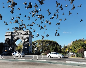 Grand Army Plaza, Soldiers and Sailors Memorial Arch, Prospect Heights, Park Slope, Brooklyn Print, Brooklyn Photography, New York Print