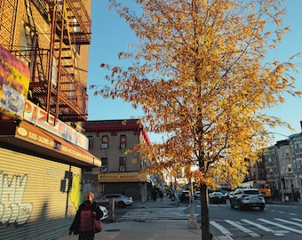 Flatbush Print, Autumn In Brooklyn, Autumnal Photography, Brooklyn Print, Street Photography, Fine Art Photography, Colour Print, Brooklyn