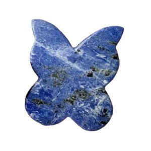 May include: A blue butterfly-shaped stone made of lapis lazuli. The stone has a marbled pattern with white and black veins.