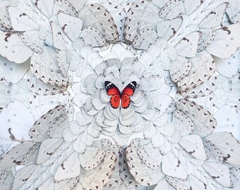 White Butterfly Wall Art, 3D White Butterflies, Butterfly Gift