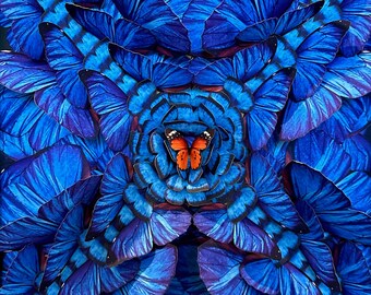 Blauer Morpho Schmetterling Wandkunst, blaue Schmetterlinge 3D, Schmetterling Geschenk