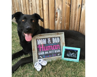 Mom And Dad Are Getting Me/Us A Human, Guard Dog, Dog Announcement, Pregnancy Announcement For Dogs, Pregnancy Reveal, Baby Announcement