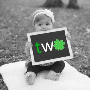 Second Birthday Photo Prop, Birthday Chalkboard, 2nd Birthday Sign, Second Birthday Party, Printable Chalkboard, St. Patrick’s Birthday Prop image 1