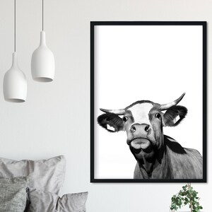 Cow Print, Modern Farmhouse, Cow Poster, Cattle Photography, Farm Animal Wall Art, Farm Animal Print, Farm Animal Nursery, Farm Nursery image 2