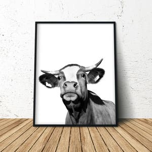 Cow Print, Modern Farmhouse, Cow Poster, Cattle Photography, Farm Animal Wall Art, Farm Animal Print, Farm Animal Nursery, Farm Nursery image 1