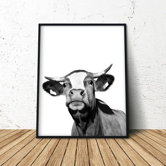 Cow Print, Modern Farmhouse, Cow Poster, Cattle Photography, Farm Animal Wall Art, Farm Animal Print, Farm Animal Nursery, Farm Nursery