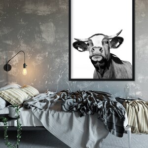 Cow Print, Modern Farmhouse, Cow Poster, Cattle Photography, Farm Animal Wall Art, Farm Animal Print, Farm Animal Nursery, Farm Nursery image 3