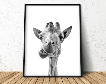 Safari Nursery Art, Giraffe Print, Giraffe Nursery, Black White Giraffe, Giraffe Photo, Wall Decor, Instant Download, Printable Art,
