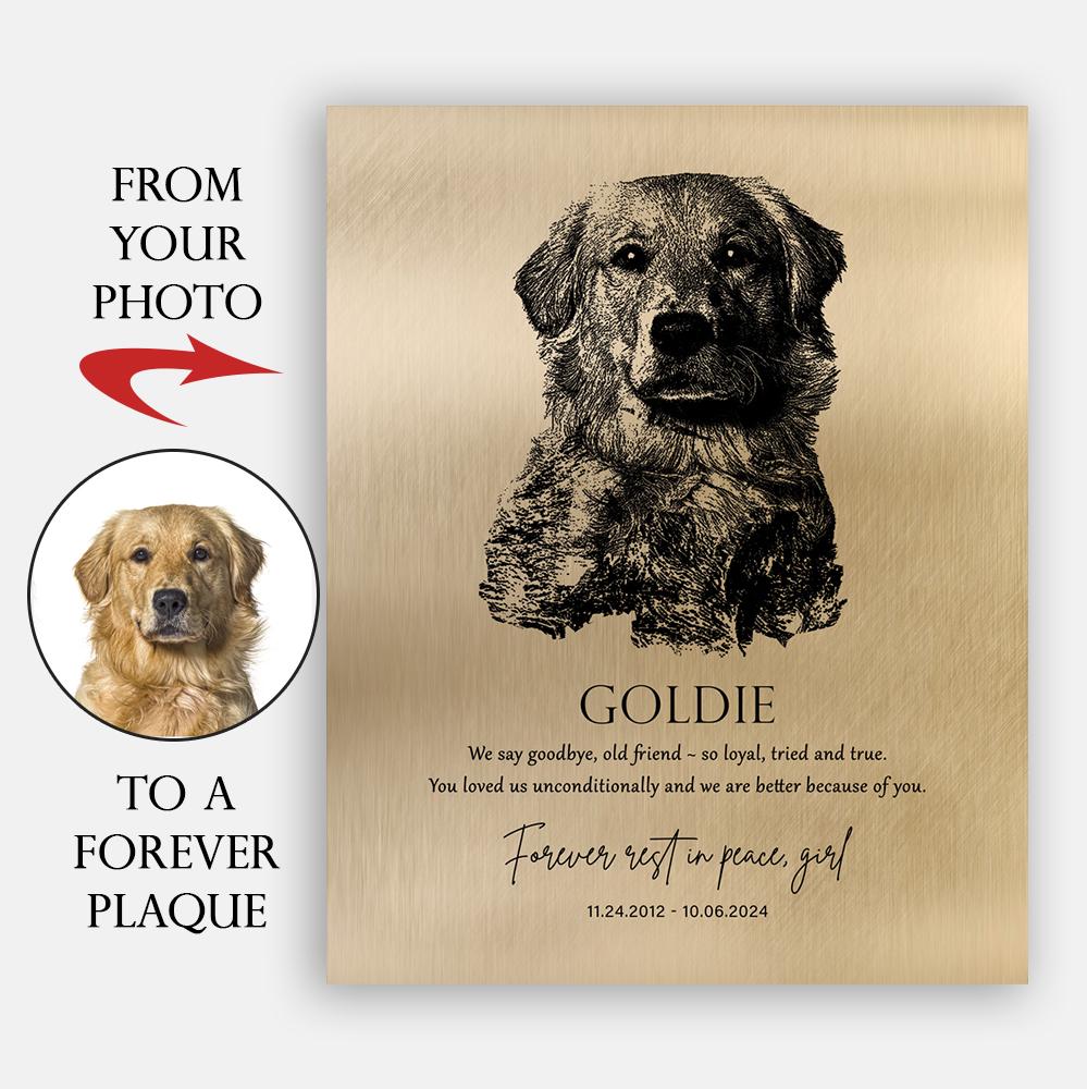 Pet Memorial, Loss of Pet, Memory Gift, Dog Owner Gift, Dog Passing, Rescue Dog Grief, Metal, Memorial Plaque, Canvas, Print, Sympathy 2138