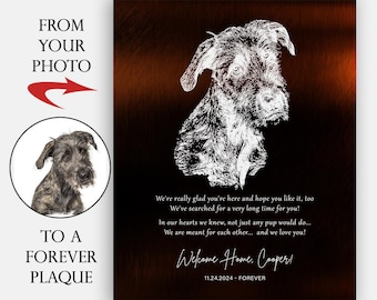 Pet Adoption, Shelter Dog, New Dog Gift, Pet Adoption Gift, Rescue Dog Gift, Dog Poem, Metal Plaque, Canvas, Print, Welcome Home Puppy 2137