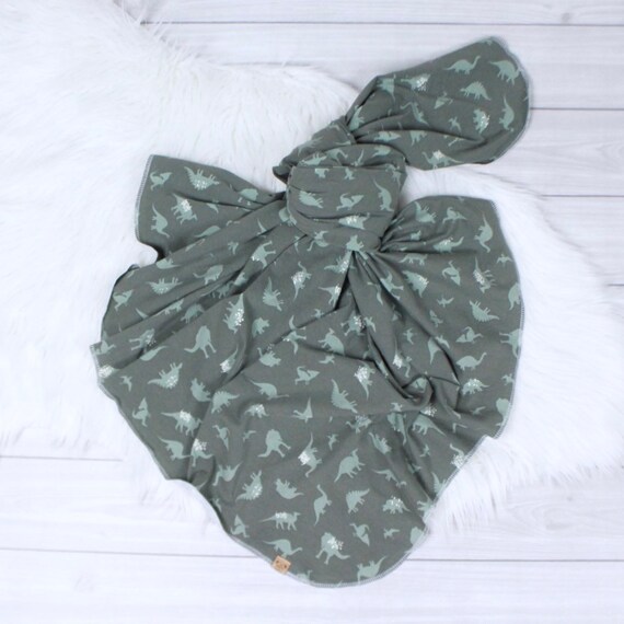 dinosaur swaddle set