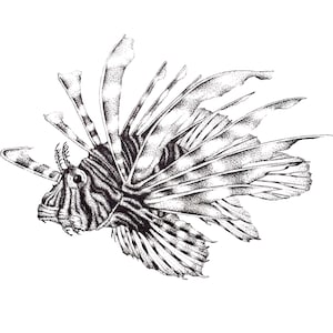 Poisson-lion