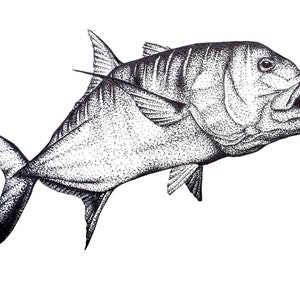 Riesen-Trevally