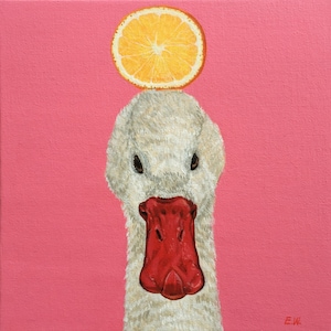 Pintura laranja pato, pintura de pássaros, pintura animal original, retrato animal, pintura rosa vermelha, arte animal, decoração de casa, 20*20cm