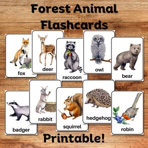 Forest Animal Flashcards, 10 Woodland Creatures, Digital Download Printable