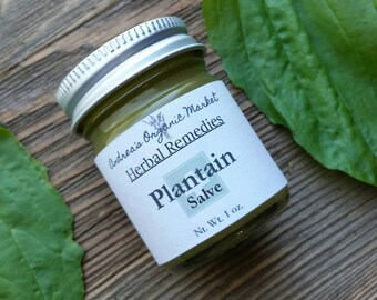 Organic Plantain Salve, Antibacterial Cream, Cut and Scrape Salve, Organic Plantain Balm, Wound Salve, Herbal Salve, Antibacterial Salve