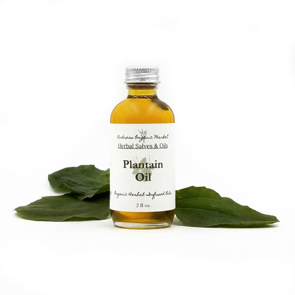 Plantain Infused Oil Etsy