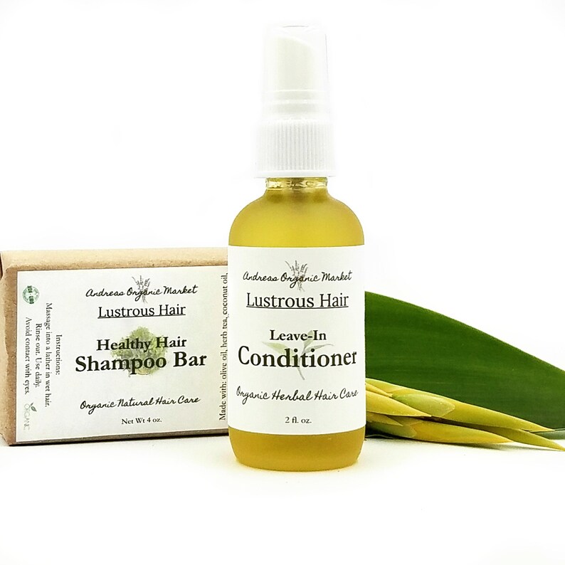 Organic Herbal Shampoo Conditioner Gift Set Natural Etsy