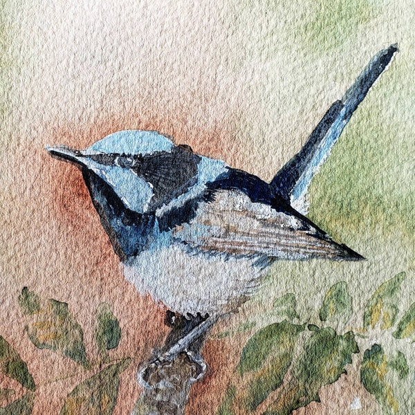 Australian Fairy Wren bird watercolor art painting print blank stationery notecard greeting card 4" x 6" and 5" x 7" sizes