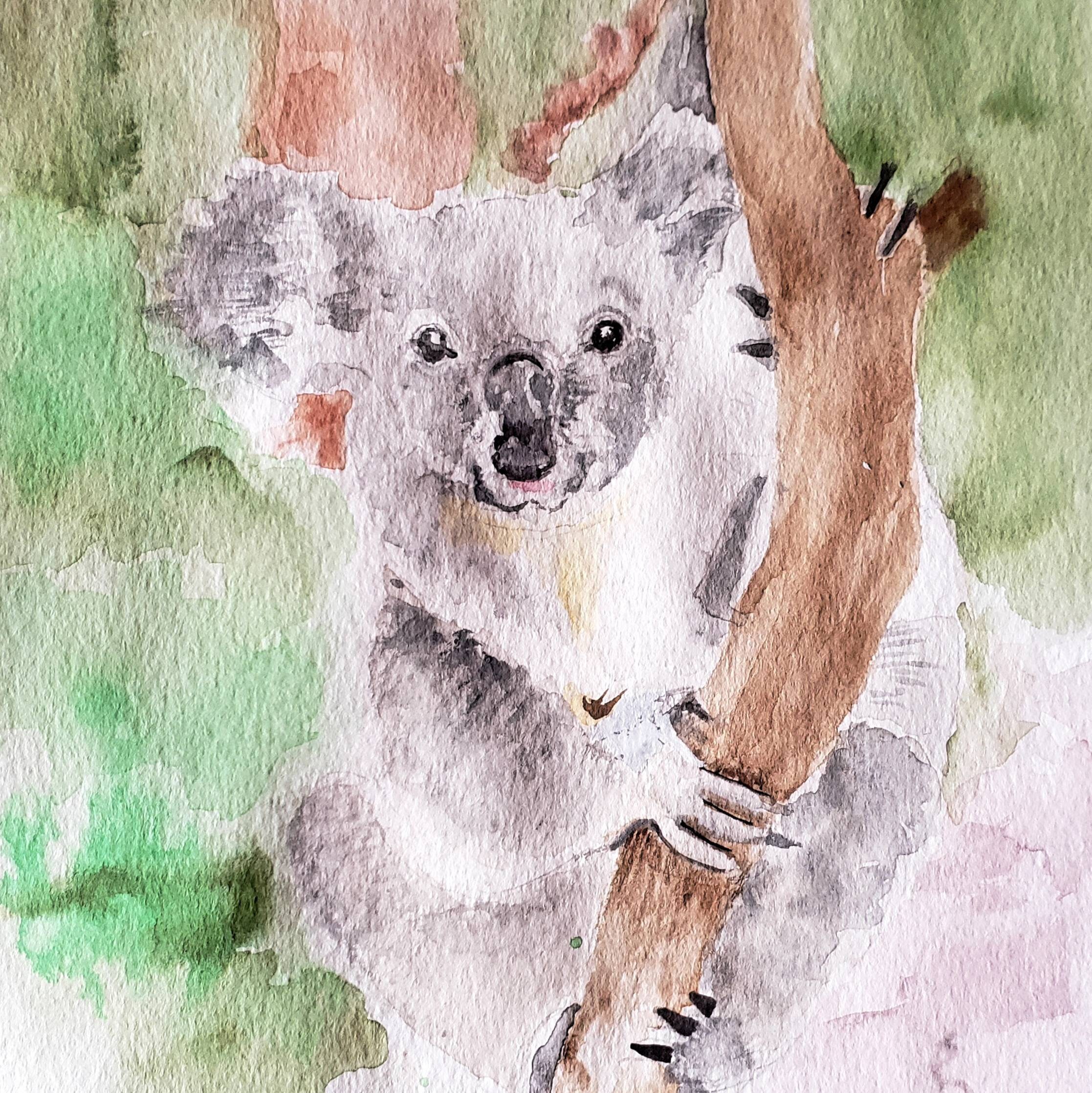 Australian Koala Bear Watercolor Painting Print Blank Etsy