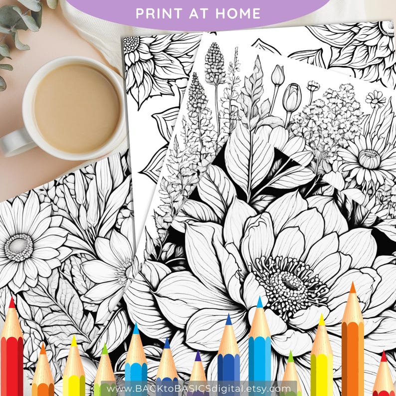 Blossoms and Blooms Adult Coloring Book | 62 Relaxing Floral Designs ...