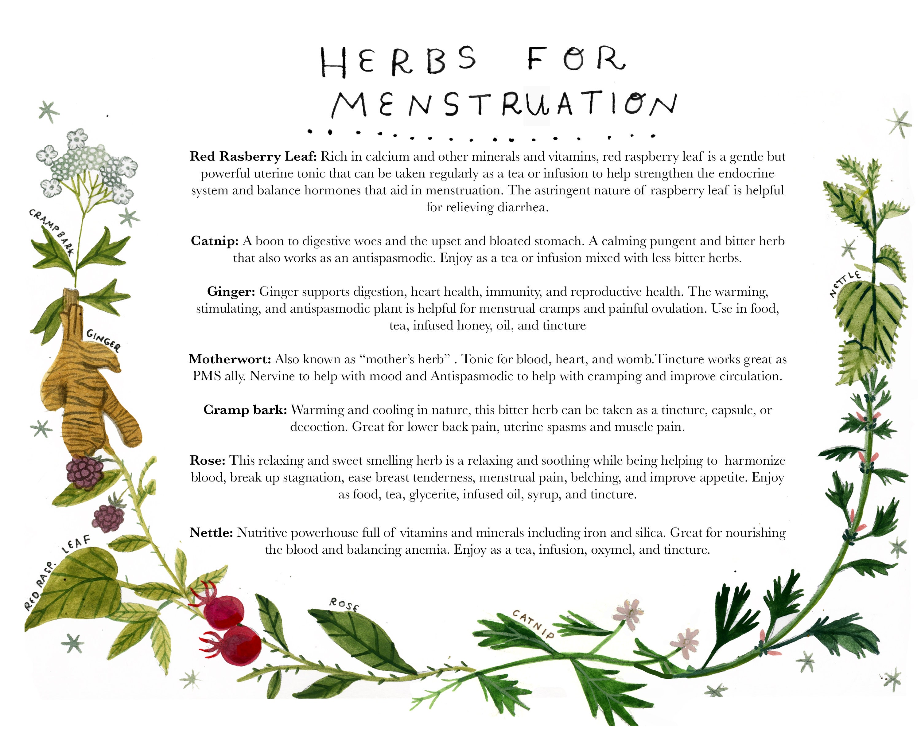 Herbs for Menstruation Apothecary Print Etsy