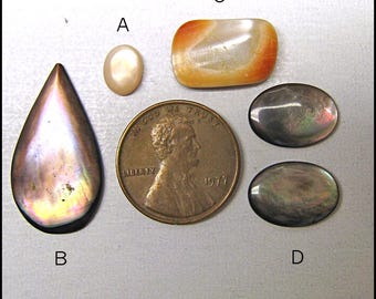 SHELL CABOCHONS * Your choice * diy jewelry * jewelry supplies * tolpa * loose gems * loose stones * loose cabs * cabochons * abalone shell