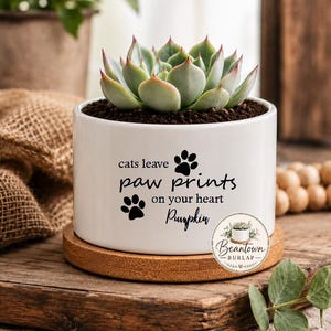 Personalized Cat Memorial Planter Loss of Pet Gift Cat Memorial Personalized Succulent Flower Pot Succulent Gift Custom Cat Gift Cat Lovers