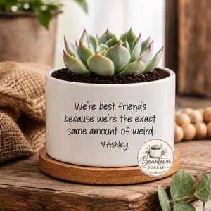 May include: A white ceramic cylindrical planter containing a green succulent plant. The planter features black printed text that reads: We're best friends because we're the exact same amount of weird, followed by a heart symbol and the name Ashley.