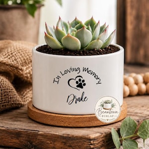 Pet Memorial Planter Loss of Pet Gift Dog Memorial Personalized Succulent Flower Pot Rainbow Bridge Succulent Gift In Loving Memory