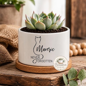 Cat Memorial Succulent Planter Personalized Pet Memorial Loss of Cat Sympathy Gift Custom Flower Pot Loss of Pet Memorial Gift for Cat Mom