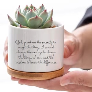 May include: A white ceramic planter with a succulent plant. The planter has a wooden base and features the text: "God, grant me the serenity to accept the things I cannot change, the courage to change the things I can, and the wisdom to know the difference."