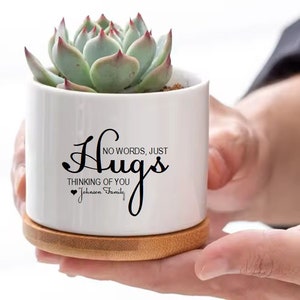 No Words Just Hugs Personalized succulent Planter Pot Thinking of You Custom Gift for Friend Get Well Soon Sympathy Gift Sending you Hugs