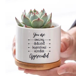 May include: A white cylindrical ceramic planter with a light wood base, containing a green succulent. The planter features black text that reads: You are amazing, dedicated, inspirational, incredible, Appreciated, with arrows pointing to each word.
