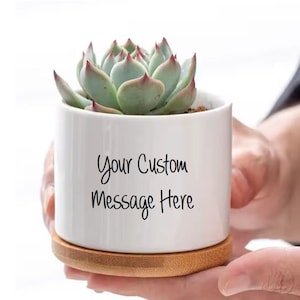 Create Your Own Custom Personalized Message Text Succulent Flower Pot Birthday Gift Friend Gift Thank You Gift Christmas Gift Custom Quote