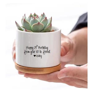 May include: A white ceramic planter with a succulent plant, resting on a wooden coaster. The planter has the text "Happy 29th Birthday from your 110 lb. Friend" and a heart symbol with the name "Ashley".