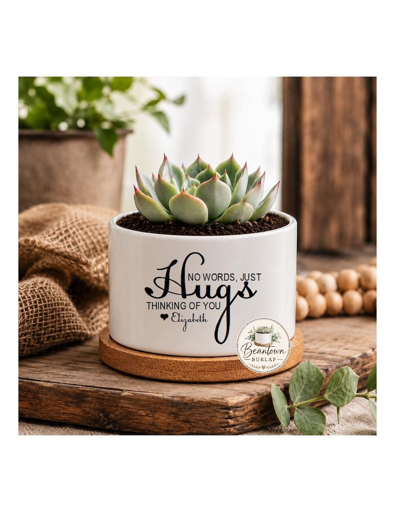 No Words Just Hugs Personalized succulent Planter Pot Thinking of You Custom Gift for Friend Get Well Soon Sympathy Gift Sending you Hugs image 1