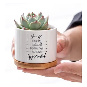 You Are Appreciated Employee Appreciation Gift Coworker Thank You Gift Succulent Flower Pot Gift Amazing Dedicated Inspirational Incredible