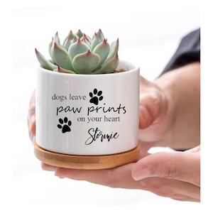 May include: White ceramic succulent planter with a black paw print and the text "dogs leave paw prints on your heart" and the name "Stormie" in cursive.