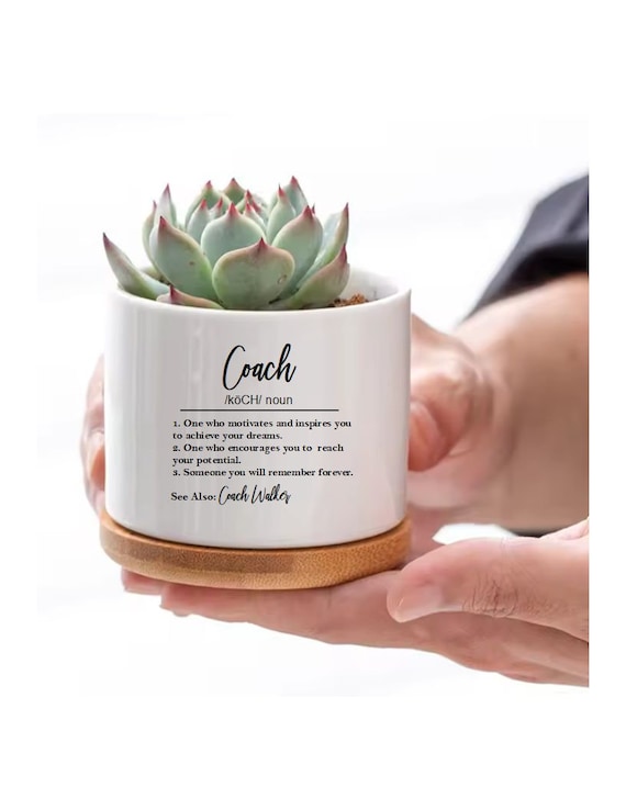 Coach Gift Personalized Succulent Flower Pot Appreciation Gift Thank You  Gift Difference Maker Coach Gift Coach Definition Personalized - Etsy