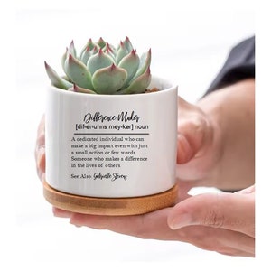 Difference Maker Personalized Succulent Flower Pot Employee Appreciation Gift Thank you Gift Coworker Gift Inspirational Teacher Gift