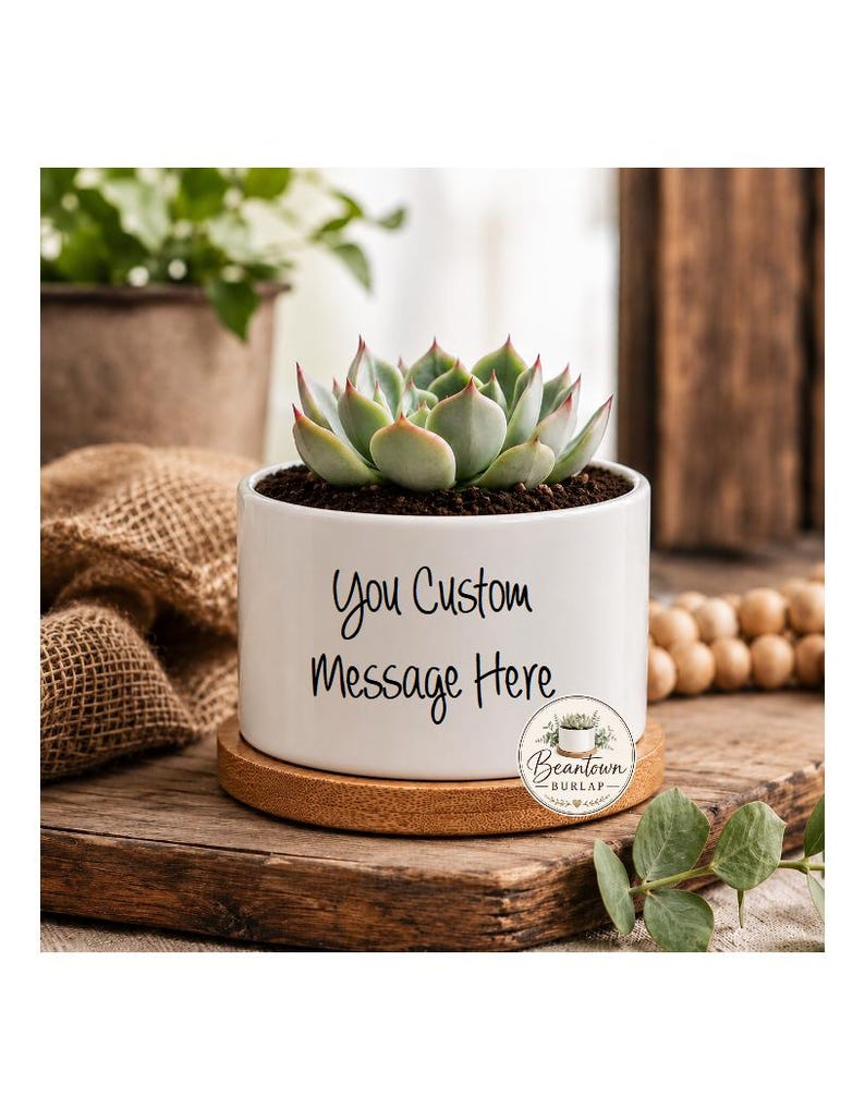 Create Your Own Custom Personalized Message Text Succulent Flower Pot Birthday Gift Friend Gift Thank You Gift Christmas Gift Custom Quote image 1