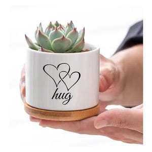 May include: White ceramic succulent planter with a bamboo base. The planter has two intertwined hearts and the word "hug" printed on it.