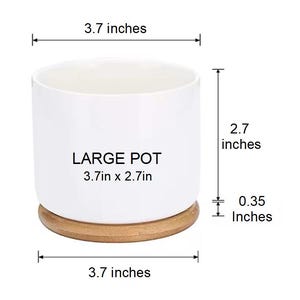 May include: A white cylindrical ceramic pot resting on a circular wooden base. The pot features the text LARGE POT 3.7in x 2.7in. Dimension lines indicate a diameter of 3.7 inches, a pot height of 2.7 inches, and a base thickness of 0.35 inches.