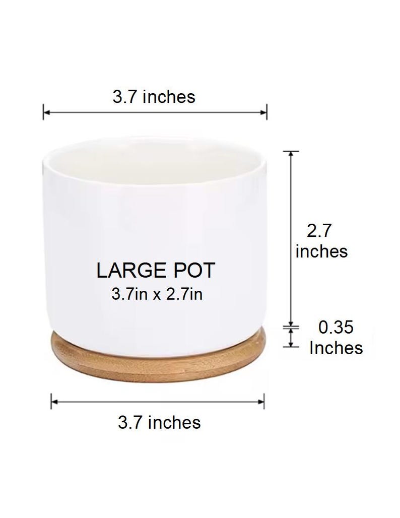 May include: A white cylindrical ceramic pot resting on a circular wooden base. The pot features the text LARGE POT 3.7in x 2.7in. Dimension lines indicate a diameter of 3.7 inches, a pot height of 2.7 inches, and a base thickness of 0.35 inches.