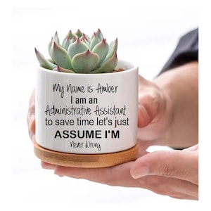 May include: White ceramic succulent planter with a bamboo base. The planter has a quote that reads "My name is Amber I am an Administrative Assistant to save time let's just ASSUME I'M Never Wrong."