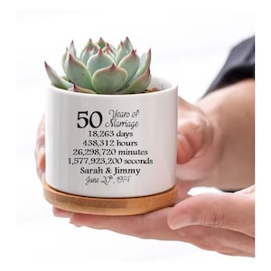 May include: White ceramic planter with a succulent plant inside. The planter has a bamboo base and is decorated with the text "50 Years of Marriage 18,263 days 438,312 hours 26,298,720 minutes 1,577,923,200 seconds Sarah & Jimmy June 20, 1974".