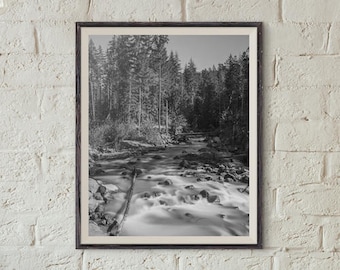 mount rainier national park, river, black and white, nature, pacific northwest, washington, photography, travel photography, fine art print